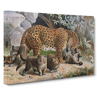 Natural History Leopards Vintage Canvas Wall Art Print Ready to Hang, Framed Picture for Living Room Bedroom Home Office Décor, 24x16 Inch (60x40 cm)