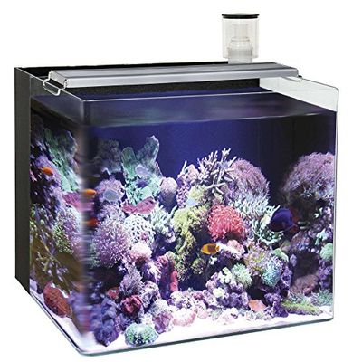 Ocean Free AT641 A Nano Aquarium Marin