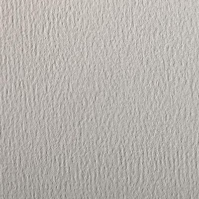 Clairefontaine – Ref 93881C – Etival färgat kornigt ritpapper (paket med 25 ark) – A4 (29,7 x 21 cm) – 160 gsm cellulosa konstpapper – ljusgrå – syrafri, pH-neutral