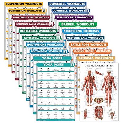 Confezione da 20 - Set di poster per esercizi: manubri, sospensioni, corda da combattimento, stretching, peso corporeo, bilanciere, yoga, palla per esercizi, muscolosi, kettlebell, bande di resistenza