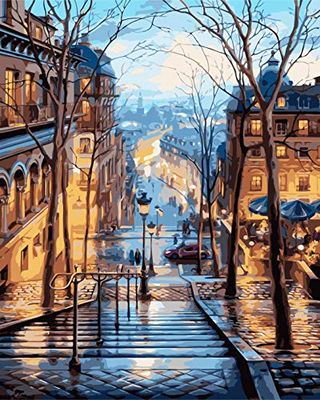 Verf op nummer voor volwassenen, doe-het-zelf canvas olieverfschilderij kit voor kind met penselen acryl pigment tekening lakwerk 40 x 50 cm (straatlicht)