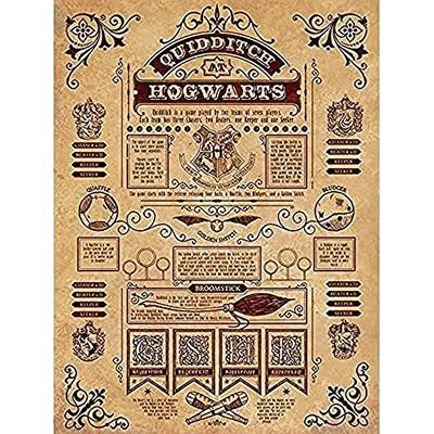 Harry Potter Stampa su Tela delle Regole del Quidditch Hogwarts, Multicolore, 60 x 80 cm (Versione in Lingua Inglese)