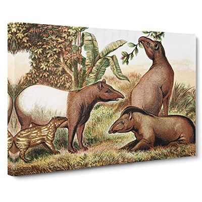 Natural History Indian & South American Tapirs Vintage Canvas Wall Art Print Ready to Hang, Framed Picture for Living Room Bedroom Home Office Décor, 30x20 Inch (76x50 cm)