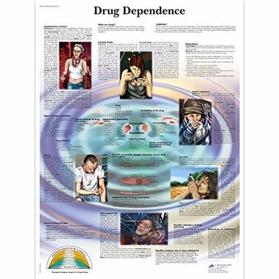 3B Scientific Vetenskaplig mänsklig anatomi - Drug Beroende diagram Pappersversion