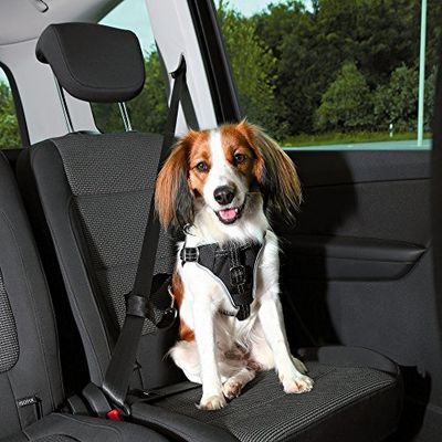 Trixie Dog Comfort car harness, S-M: 40-55 cm/20 mm, black