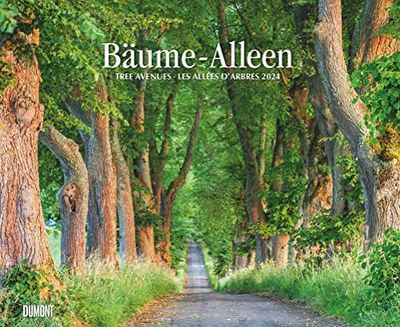Bäume – Alleen 2024 – Wandkalender 52 x 42,5 cm – Spiralbindung
