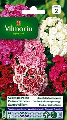 Vilmorin 5437942 Œillet, Multicolore, 90 x 2 x 160 cm - Sachet de 1,5 g