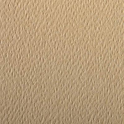 Clairefontaine – Ref 93866C – etivalfärgat kornigt ritpapper (paket med 25 ark) – A4 (29,7 x 21 cm) – 160 gsm cellulosa konstpapper – kamel – syrafritt, pH-neutralt