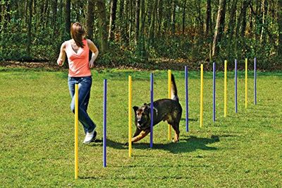 Karlie - Agility Slalom / 31855 - Set de slalom - 24 pièces