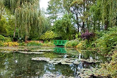 Papermoon Monet's Garden - Carta da parati fotografica in tessuto non tessuto, stampa digitale, colla inclusa, diverse misure