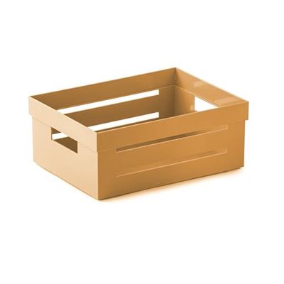 Snips Cassetta Multiuso, Organizer Multiuso, Contenitore Multiuso 2 LT, Colore Senape, 20 x 15 x 8,5 cm, Made in Italy