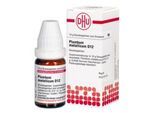 PLUMBUM METALLICUM D 12 Globuli 10 g