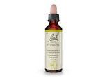 BACHBLÜTEN Clematis Tropfen 20 ml