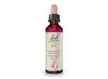 BACHBLÜTEN Elm Tropfen 20 ml