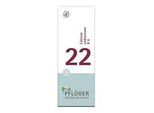 BIOCHEMIE Pflüger 22 Calcium carbonicum D 6 Tabl. 100 St