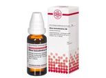 RHUS TOXICODENDRON D 6 Dilution 20 ml