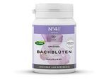KONZENTRATION Kaugummi nach Dr.Bach 40 St