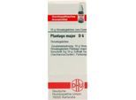 PLANTAGO MAJOR D 6 Globuli 10 g