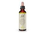 BACHBLÜTEN White Chestnut Tropfen 20 ml
