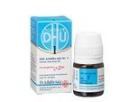 BIOCHEMIE DHU 1 Calcium fluoratum D 12 Globuli 10 g