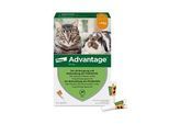 ADVANTAGE 40 mg Lsg.f.kl.Katzen/kl.Zierkaninchen 4X0.4 ml