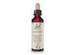 BACHBLÜTEN Impatiens Tropfen 20 ml