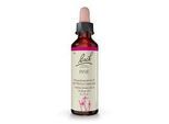 BACHBLÜTEN Pine Tropfen 20 ml