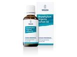BRYOPHYLLUM ARGENTO cultum D 2 Dilution 50 ml
