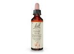 BACHBLÜTEN Cherry Plum Tropfen 20 ml