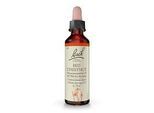 BACHBLÜTEN Red Chestnut Tropfen 20 ml