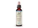 BACHBLÜTEN Rock Water Tropfen 20 ml