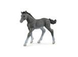 Schleich Trakehner Foal