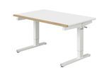 PAIDI Schreibtisch Teenio ¦ weiß ¦ Maße (cm): B: 120 H: 53 T: 75.0