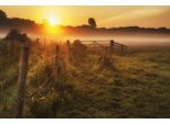 Papermoon Fototapete »LANDSCHAFT-NATUR SONNENUNTERGANG BÄUME WALD NEBEL BAUM«