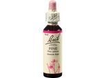 Bachblüten Pine Tropfen 20 ml