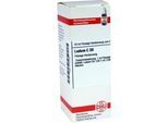 Ledum C 30 Dilution 20 ml