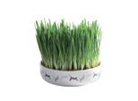 Trixie Ceramic Bowl with Cat Grass ø 15 x 4 cm