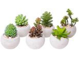 Kunstkaktus BOTANIC-HAUS "Sukkulenten", grün, B:7cm H:10cm T:7cm Ø:7cm, Kunststoff, Kunstpflanzen, Kunstkaktus