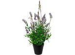 Kunstblume CREATIV GREEN "Lavendel im Topf", lila, H:48cm, Obermaterial: 100% Polyethylen, Kunstpflanzen, Kunstblume