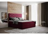 Doppel Boxspringbett London 200x200cm NB1GPCH2002001