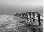 Papermoon Fototapete »Feld Schwarz & Weiss«