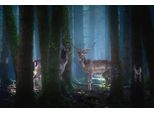 Papermoon Fototapete »Photo-Art PATRICK AUREDNIK, REHE«