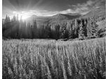Papermoon Fototapete »Landschaft Schwarz & Weiss«