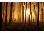Papermoon Fototapete »Photo-Art NAFETS NORIM, ES WAR EINMAL«
