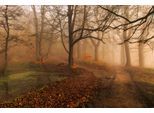 Papermoon Fototapete »Photo-Art LEIF LONDAL, WELCHEN WEG II«