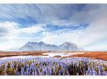 Papermoon Fototapete »Island-Ansicht«