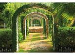 Papermoon Fototapete »Pergola Garden«