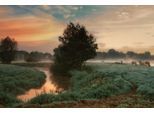 Papermoon Fototapete »Photo-Art SASKIA DINGEMANS, NEBLIGER TRAUM«