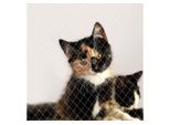 lionto Schutznetz Katzenschutznetz für Balkon & Fenster