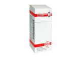 LAVANDULA Urtinktur 20 ml
